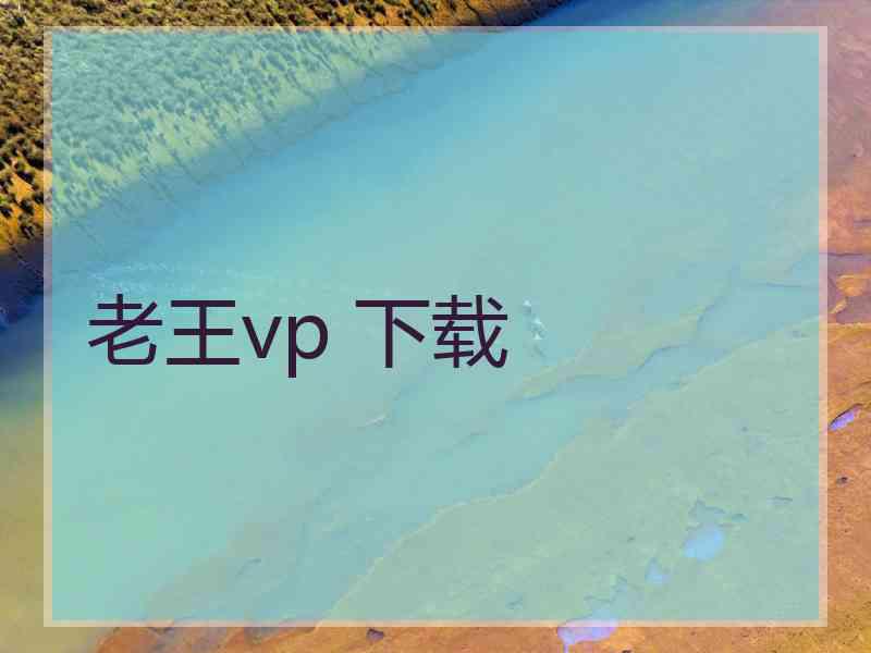 老王vp 下载
