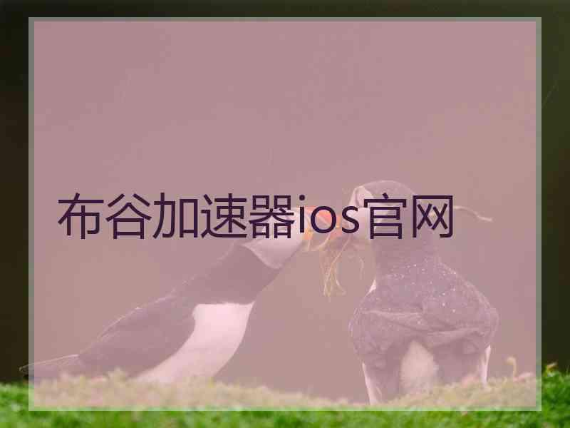 布谷加速器ios官网