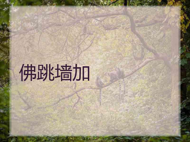 佛跳墙加