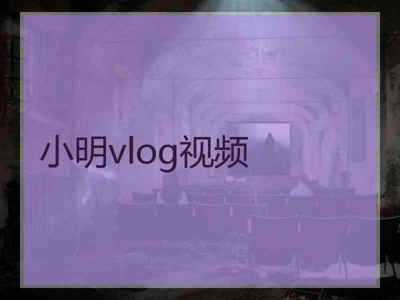 小明vlog视频