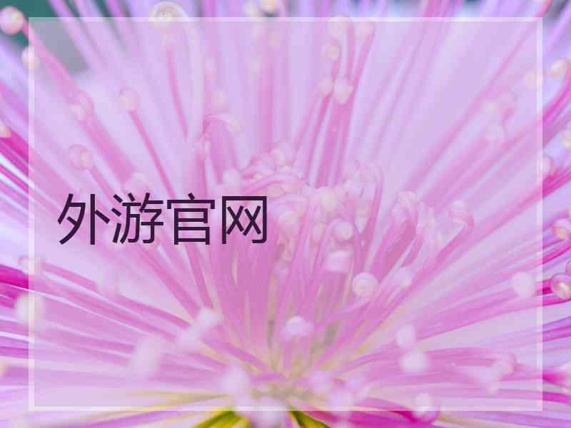 外游官网