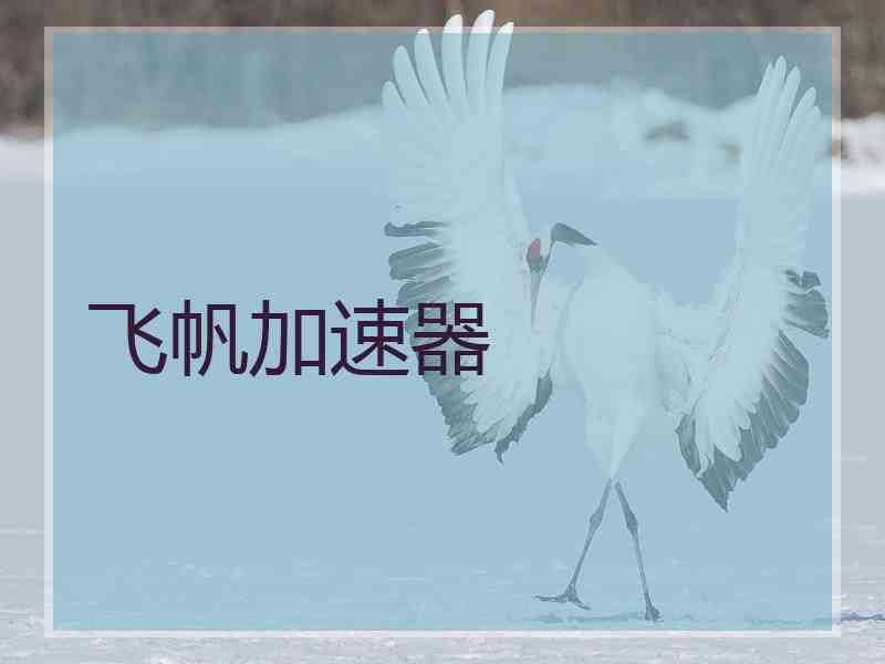 飞帆加速器
