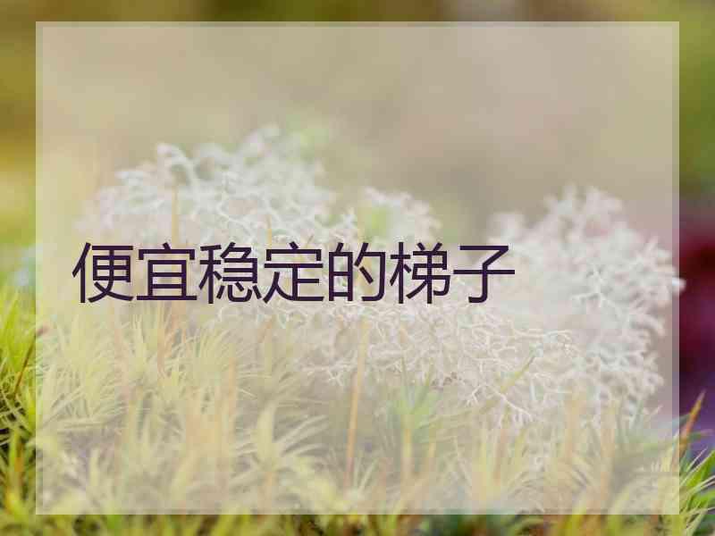 便宜稳定的梯子