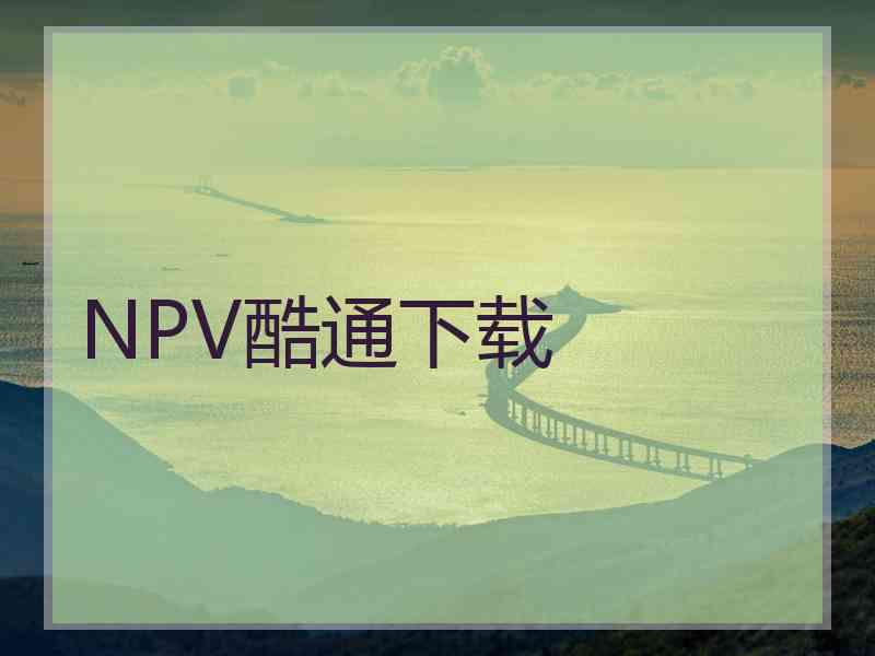 NPV酷通下载