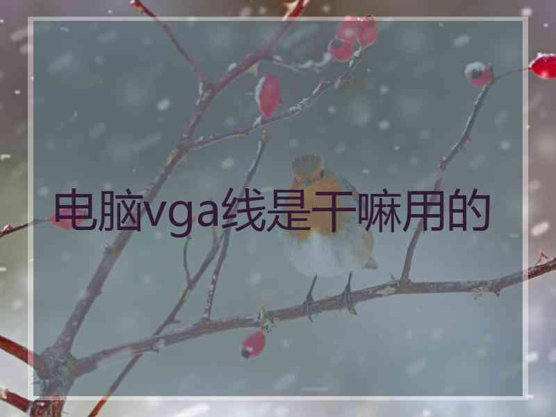 电脑vga线是干嘛用的