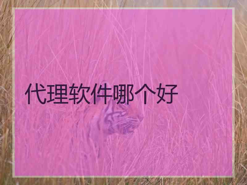 代理软件哪个好