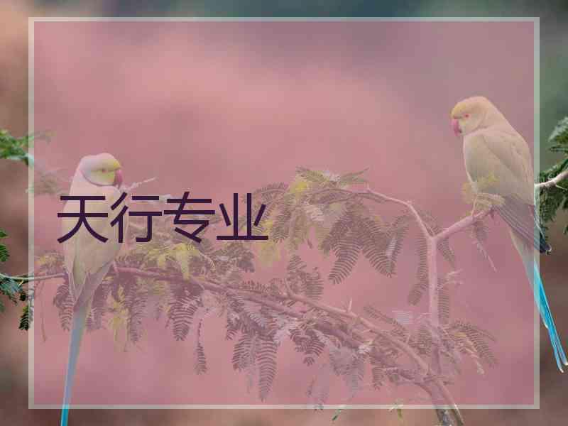 天行专业