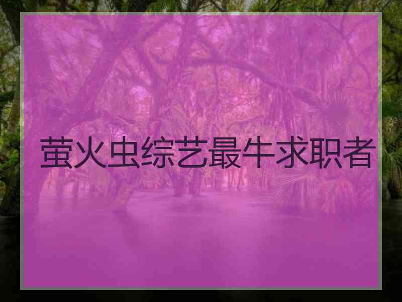 萤火虫综艺最牛求职者