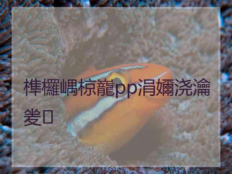 榫欏嵎椋巃pp涓嬭浇瀹夎