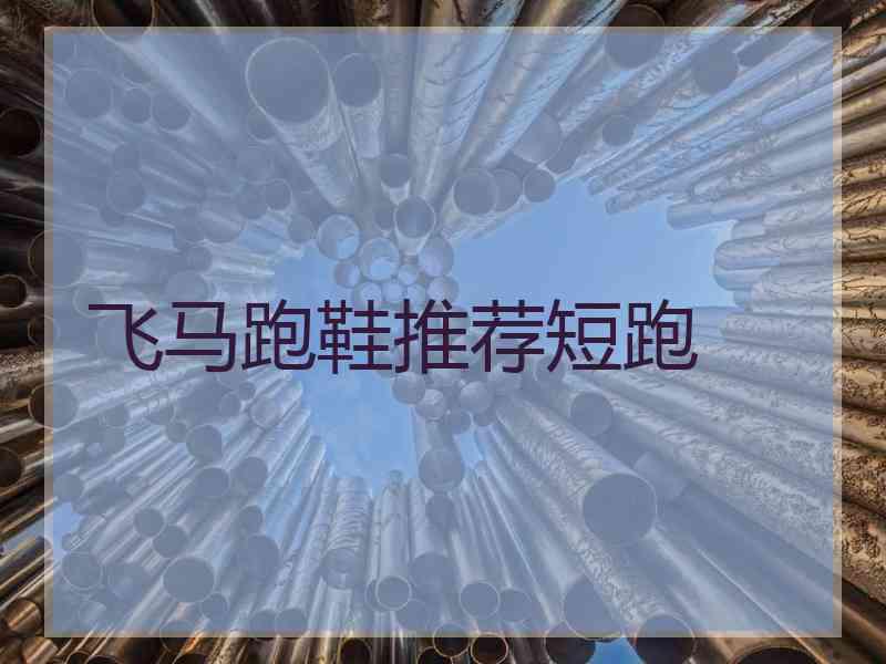 飞马跑鞋推荐短跑