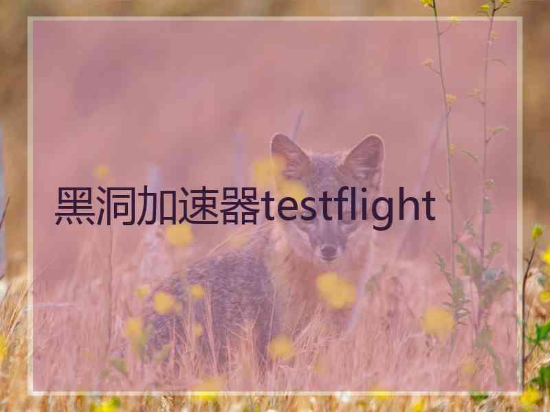黑洞加速器testflight
