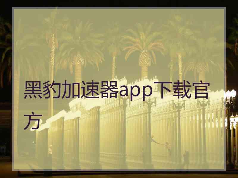 黑豹加速器app下载官方