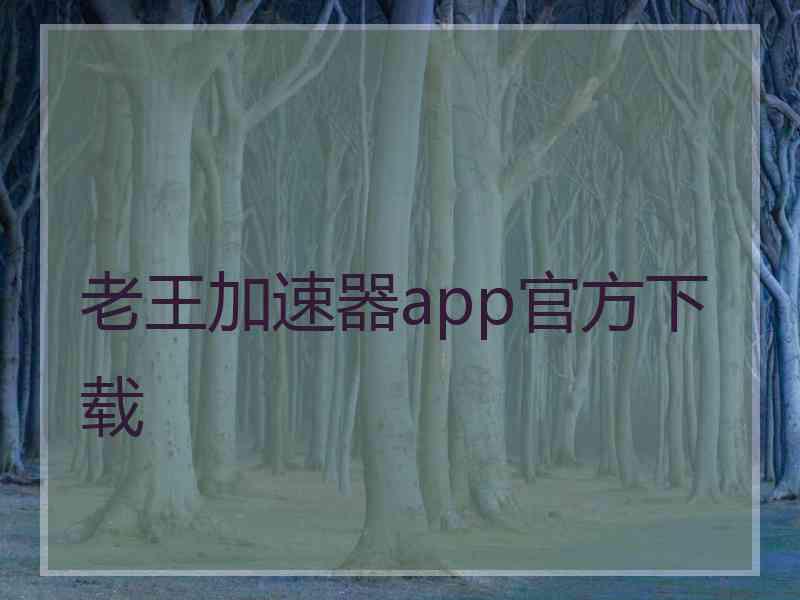 老王加速器app官方下载