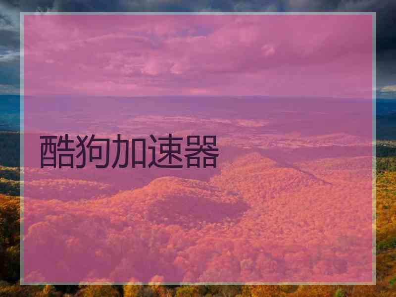 酷狗加速器