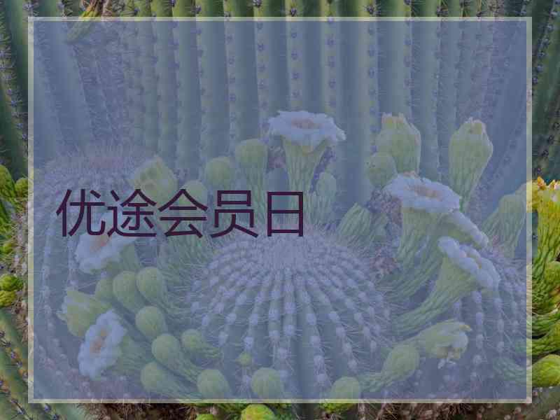 优途会员日