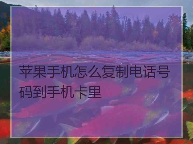 苹果手机怎么复制电话号码到手机卡里
