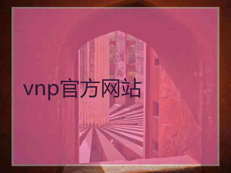 vnp官方网站