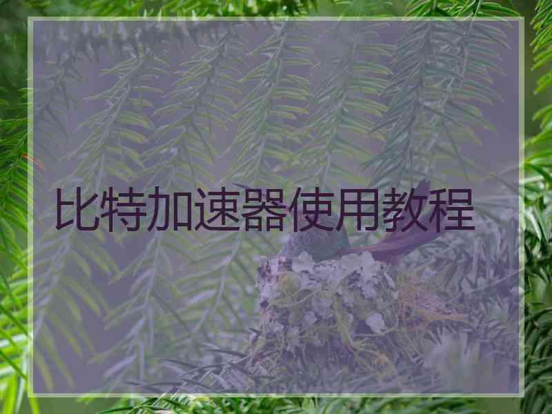比特加速器使用教程