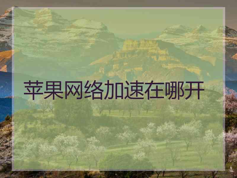苹果网络加速在哪开