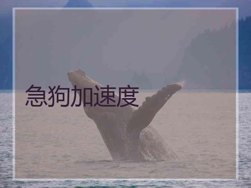 急狗加速度