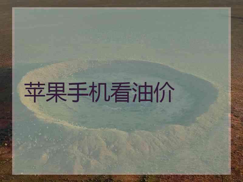 苹果手机看油价