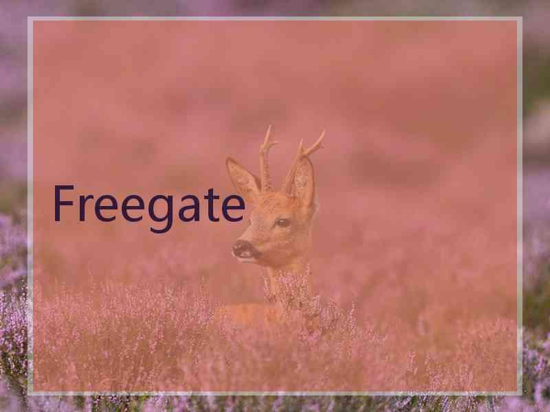 Freegate