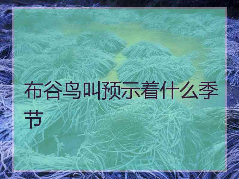布谷鸟叫预示着什么季节
