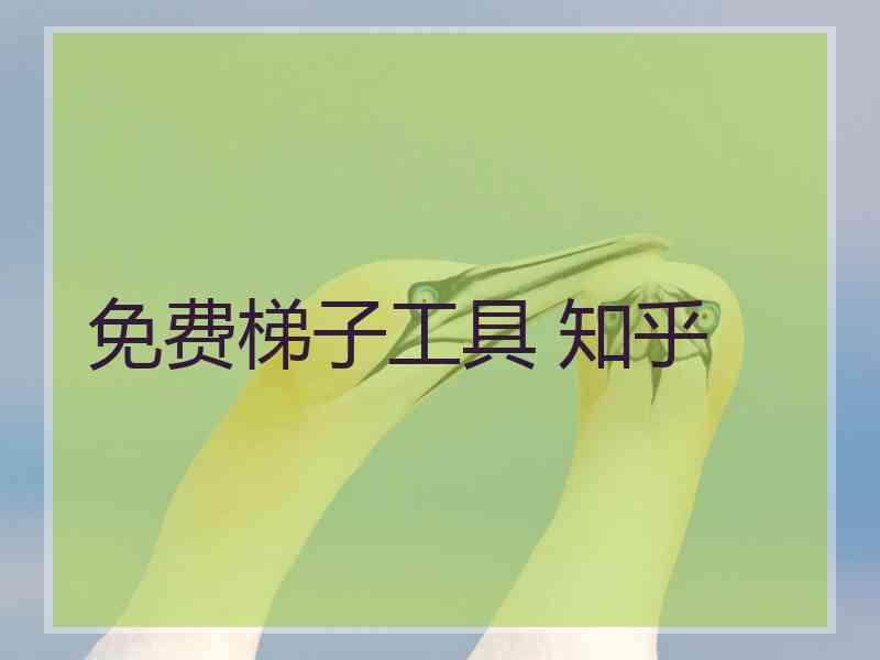 免费梯子工具 知乎