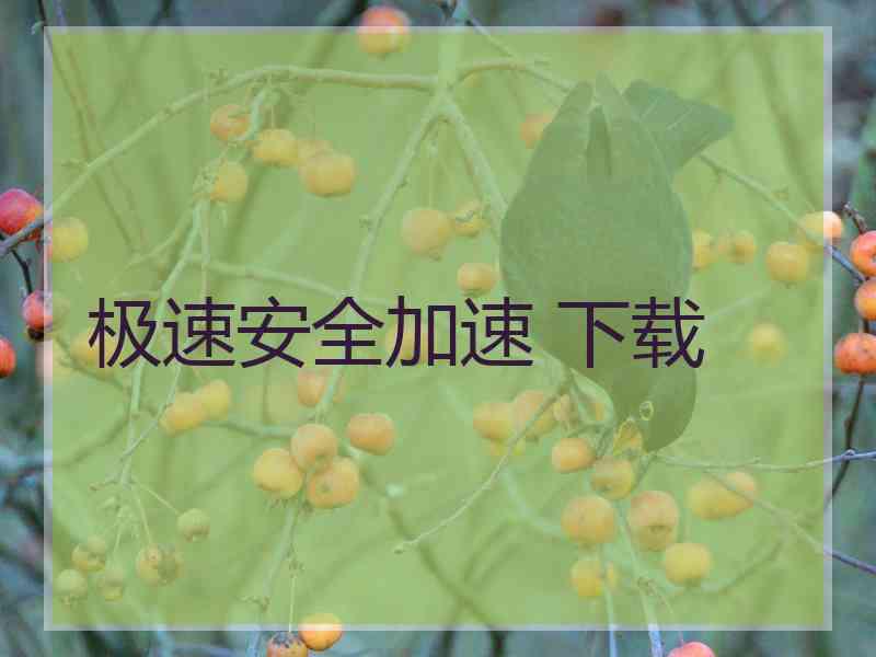 极速安全加速 下载