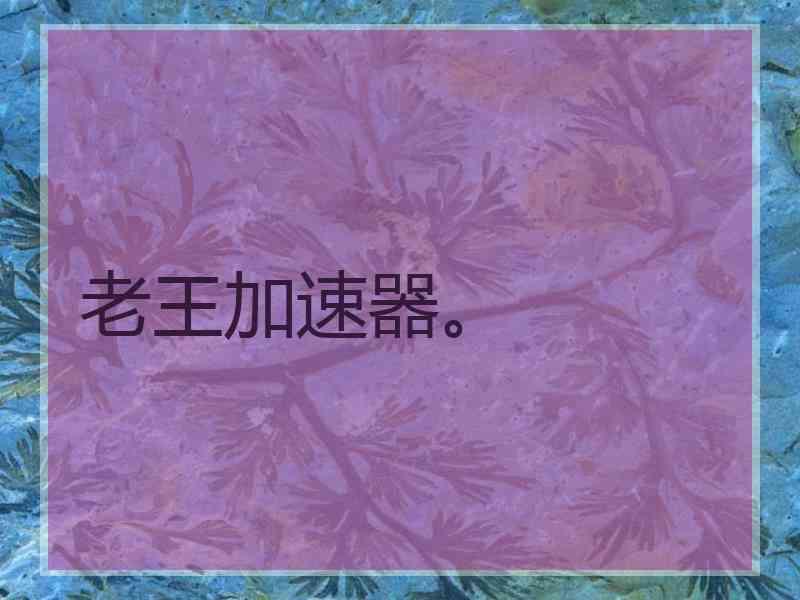 老王加速器。