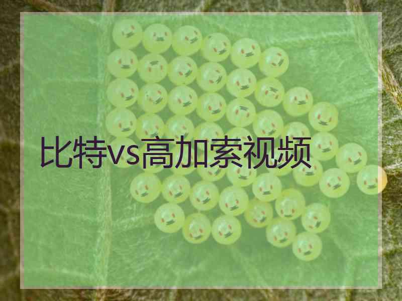 比特vs高加索视频