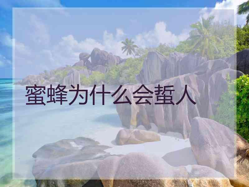 蜜蜂为什么会蜇人