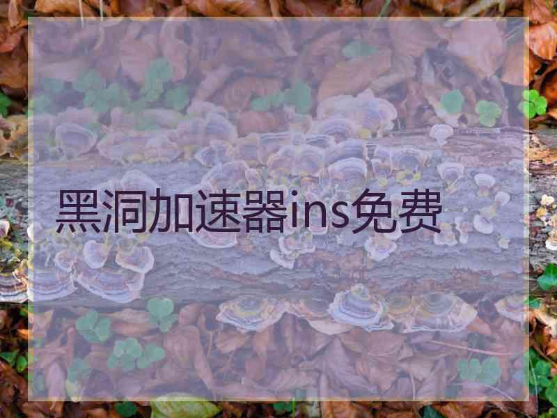 黑洞加速器ins免费