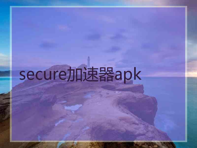 secure加速器apk