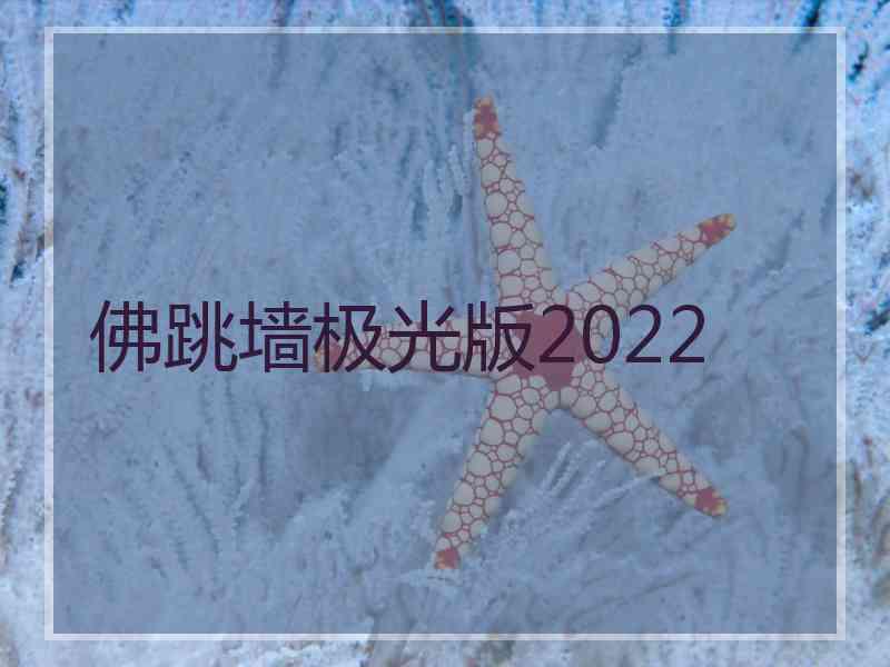 佛跳墙极光版2022