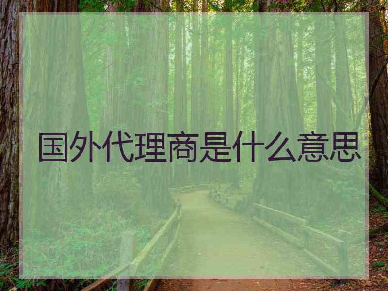 国外代理商是什么意思