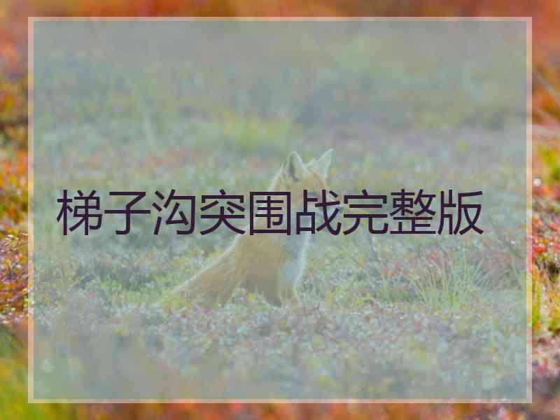 梯子沟突围战完整版