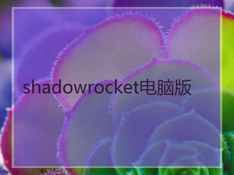 shadowrocket电脑版