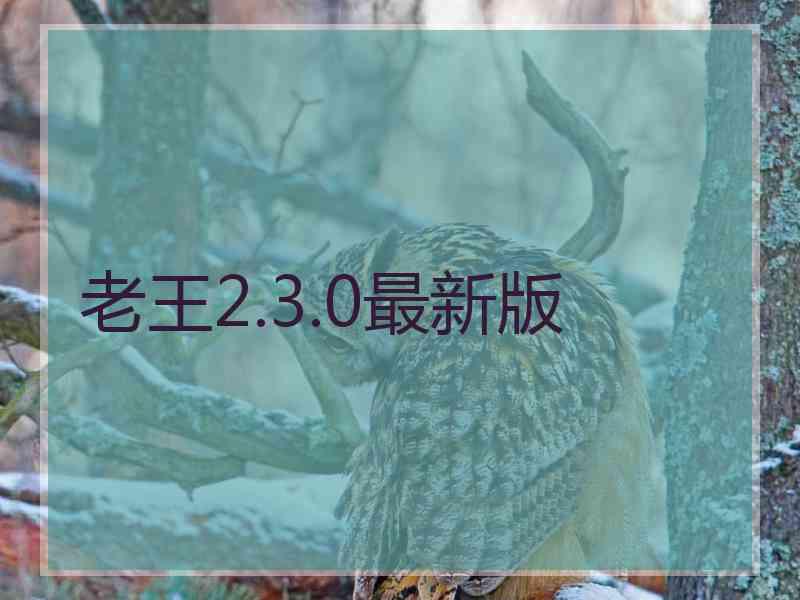 老王2.3.0最新版