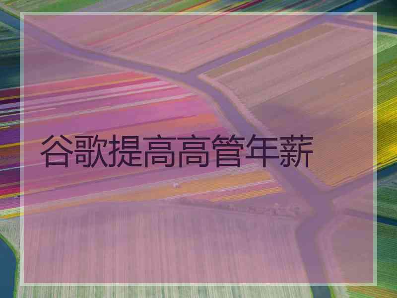 谷歌提高高管年薪