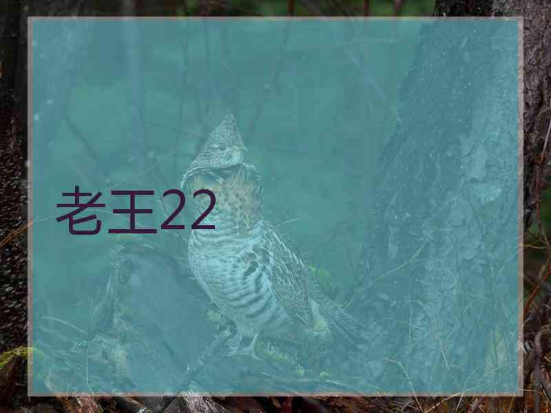 老王22