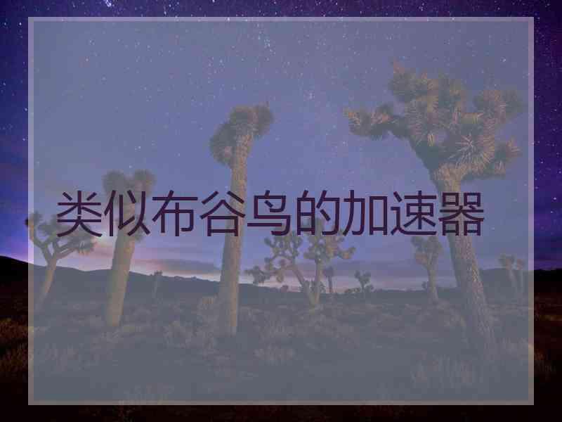 类似布谷鸟的加速器