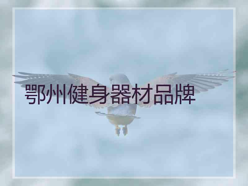 鄂州健身器材品牌