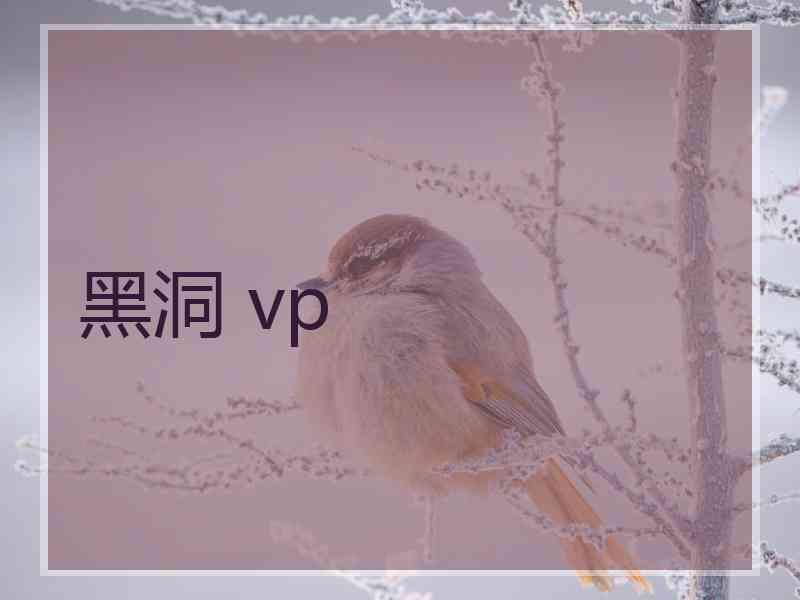 黑洞 vp