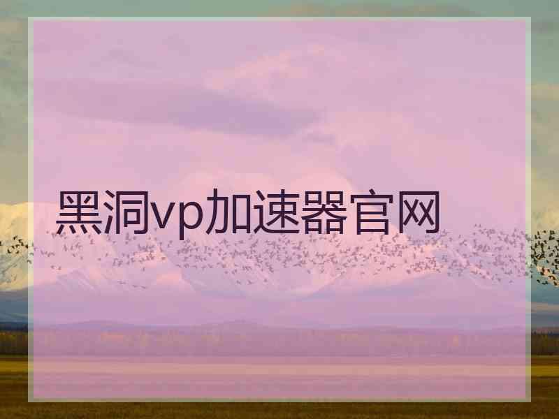 黑洞vp加速器官网