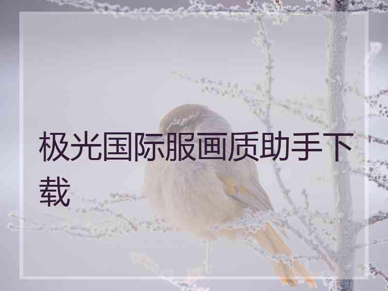极光国际服画质助手下载