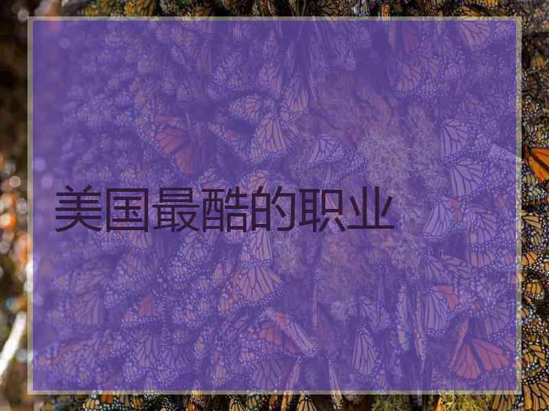 美国最酷的职业