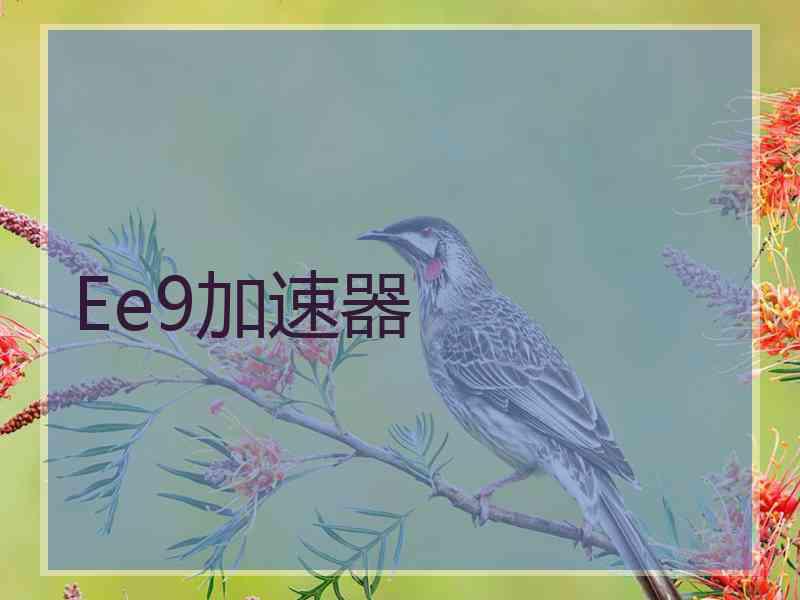 Ee9加速器