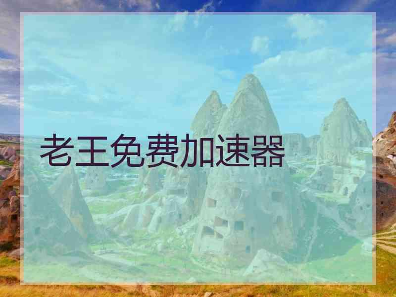 老王免费加速器