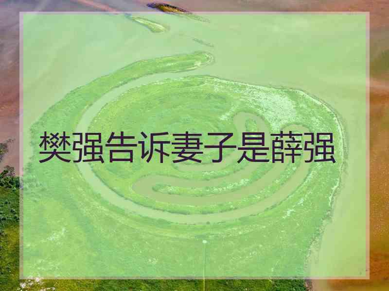 樊强告诉妻子是薛强